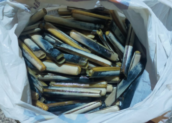 Detectan en Teis con un dron equipado con cámara térmica a un furtivo reincidente recogiendo navajas