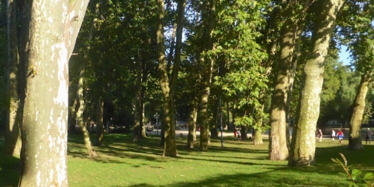 Los bomberos de Vigo recuperan un cadáver en el parque de Castrelos