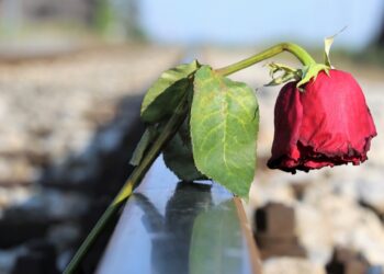 El suicidio sigue siendo la principal causa de muerte en los jóvenes