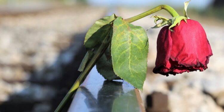 El suicidio sigue siendo la principal causa de muerte en los jóvenes