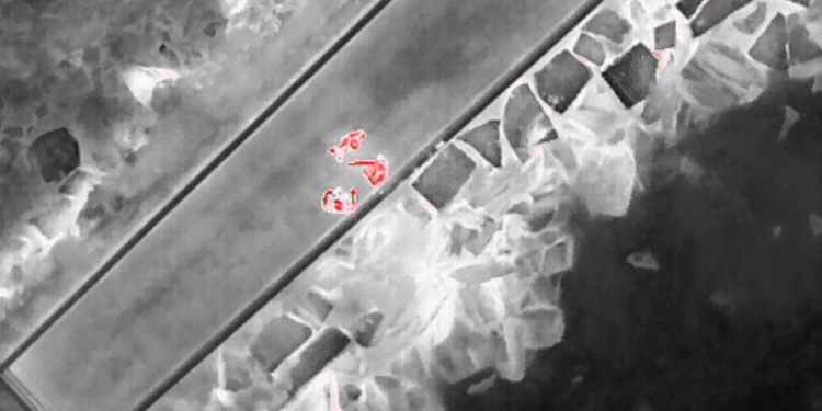 El dron de la Policía Local de Vigo detecta nuevamente a un furtivo extrayendo navaja en Teis