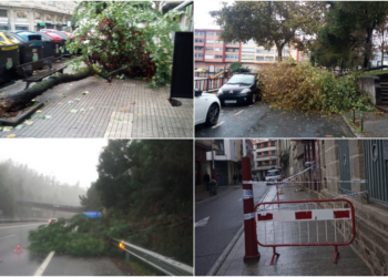 La borrasca Babet tira árboles en distintos puntos de Vigo y causa desprendimientos en una cornisa