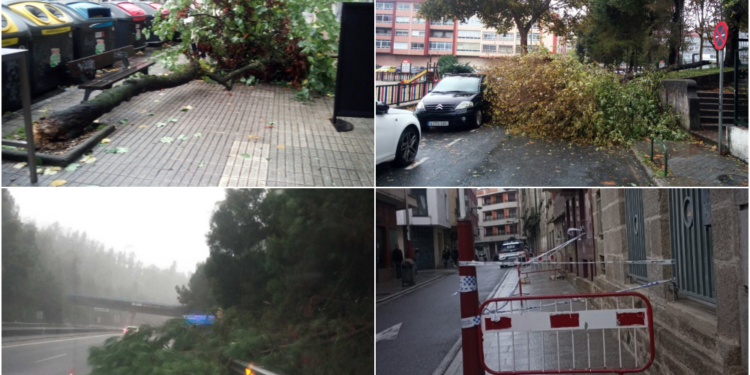 La borrasca Babet tira árboles en distintos puntos de Vigo y causa desprendimientos en una cornisa
