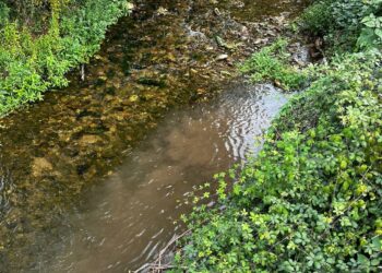 O BNG de Vigo denuncia un novo vertido no río Lagares