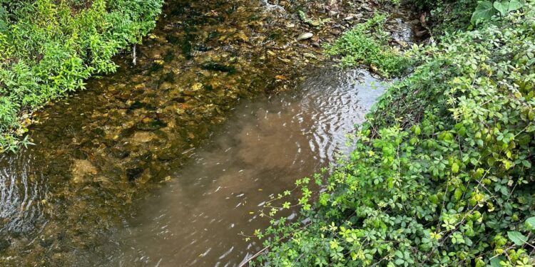 O BNG de Vigo denuncia un novo vertido no río Lagares