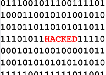 ¿Son las pequeñas empresas más vulnerables a los ciberataques?