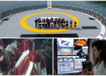 Explorando las profundidades del arte y la ciencia: una viguesa a bordo del «Falkor Too» en Galápagos