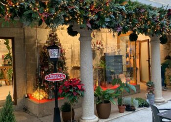 Origen: donde la pasión por la flores se convierte en arte