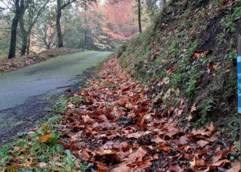 La Deputación de Pontevedra cierra los castillos de Soutomaior y Sobroso por el temporal