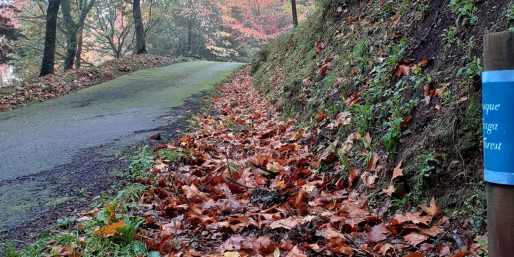 La Deputación de Pontevedra cierra los castillos de Soutomaior y Sobroso por el temporal