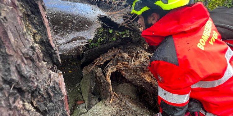 Un árbol se desploma sobre el aparcamiento de una urbanización y corta el tráfico entre Samil y Coruxo