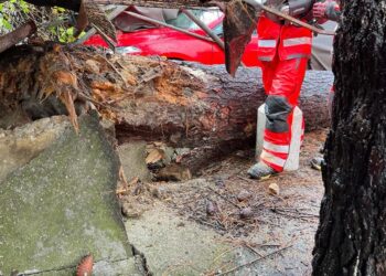 Hospitalizado un bombero de Vigo tras ser golpeado por la rama de un árbol