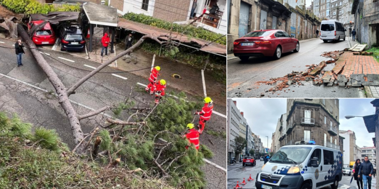 Un árbol se desploma sobre el aparcamiento de una urbanización y corta el tráfico entre Samil y Coruxo