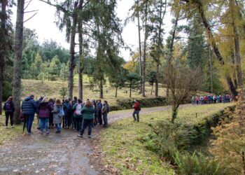 Camiño a Camiño se adentra en el jardín botánico del Pazo de Lourizán
