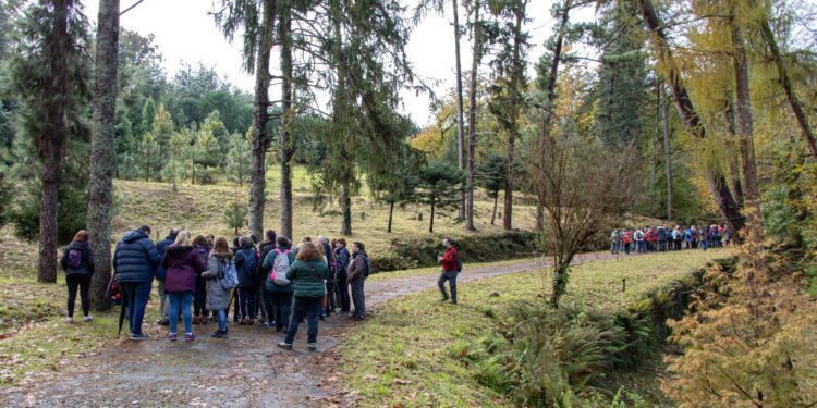 Camiño a Camiño se adentra en el jardín botánico del Pazo de Lourizán