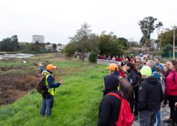Última ruta botánica de Camiño a Camiño: recorrido guiado gratuito desde Castrelos hasta la playa