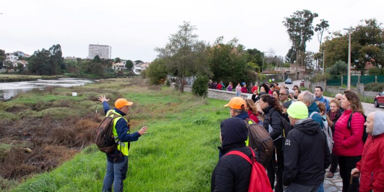 Última ruta botánica de Camiño a Camiño: recorrido guiado gratuito desde Castrelos hasta la playa