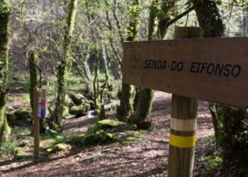 Abren las inscripciones para sumergirse en el parque botánico del río Eifonso con una ruta gratuita
