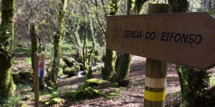 Abren las inscripciones para sumergirse en el parque botánico del río Eifonso con una ruta gratuita
