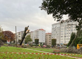La tala de árboles no cesa en la Avenida de Castelao y Caballero anuncia la retirada de todos los chopos