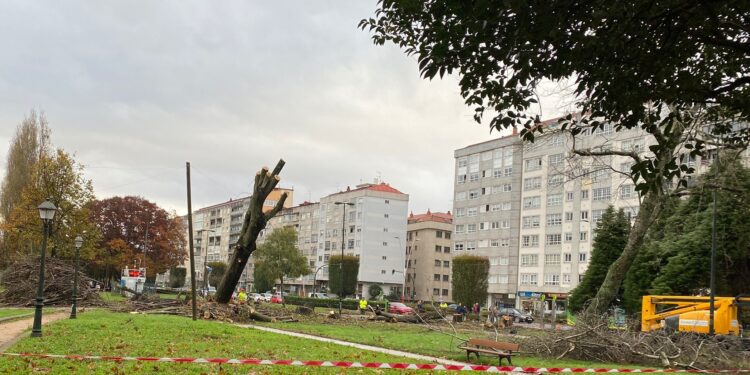 La tala de árboles no cesa en la Avenida de Castelao y Caballero anuncia la retirada de todos los chopos