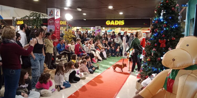 Una tarde llena de diversión, moda y espíritu navideño peludo con Camelias Dog Day