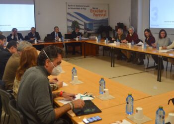 El Consello Social de la UVigo ratifica el presupuesto para 2024, con casi 250 millones de euros