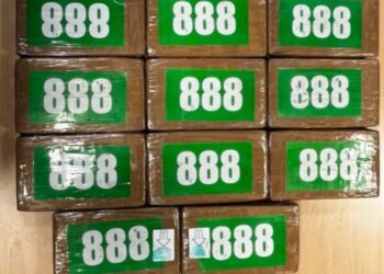 Intervenidos 20 kilos de cocaína en un contenedor de pescado destinado a una empresa de Vigo