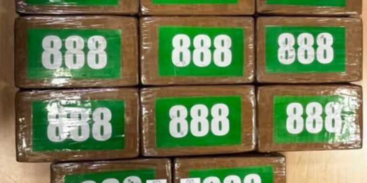 Intervenidos 20 kilos de cocaína en un contenedor de pescado destinado a una empresa de Vigo