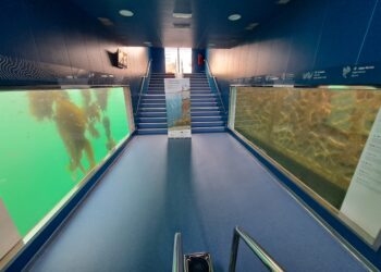 El Puerto de Vigo acude a la COP28 de Dubái con su proyecto Living Ports