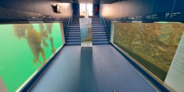 El Puerto de Vigo acude a la COP28 de Dubái con su proyecto Living Ports