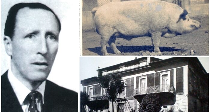 Una piara científica desembarca en Vigo