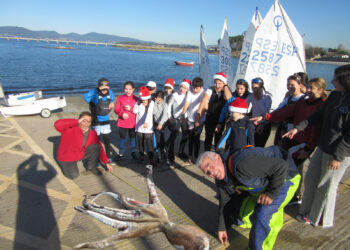 INOCENTADA | Capturado un pulpo de 26 kilos y dos metros de longitud en Vigo