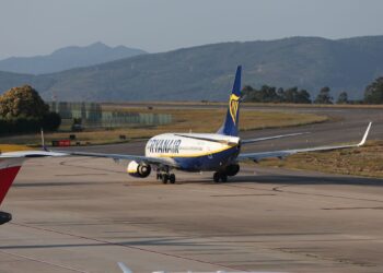 La presencia de dos perros en las inmediaciones de Peinador retrasa un vuelo procedente de Londres