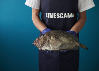 Lanzan una nueva tienda online para recibir en casa el pescado fresco de la lonja de Vigo