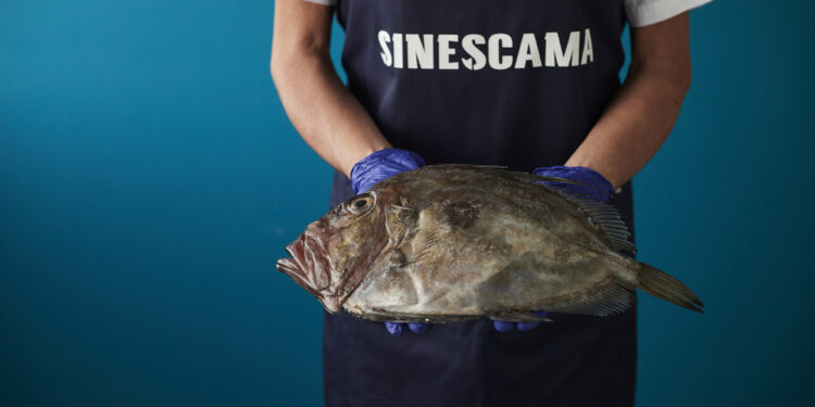Lanzan una nueva tienda online para recibir en casa el pescado fresco de la lonja de Vigo