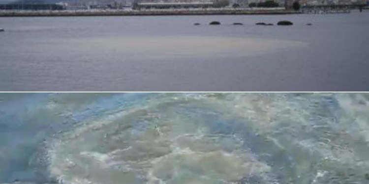El BNG de Vigo denuncia nuevos vertidos fecales a la ría en Bouzas, Alcabre y Samil