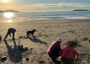 Voluntarios se organizan por Whatsapp para recoger pellets en la ría de Vigo
