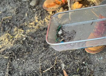 Voluntarios se organizan por Whatsapp para recoger pellets en la ría de Vigo