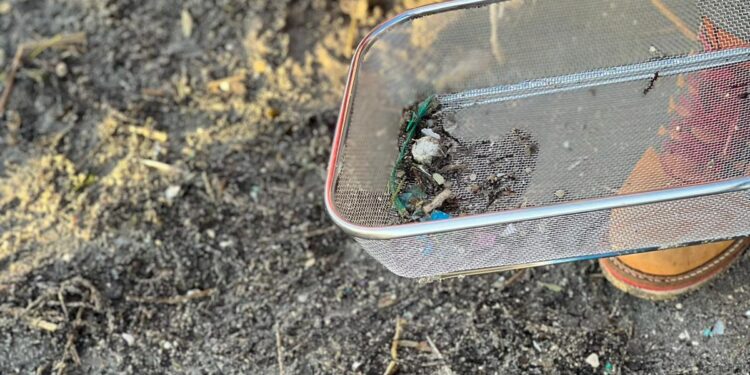 Voluntarios se organizan por Whatsapp para recoger pellets en la ría de Vigo