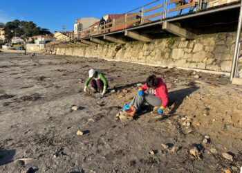 Voluntarios se organizan por Whatsapp para recoger pellets en la ría de Vigo