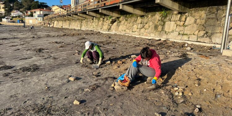 Voluntarios se organizan por Whatsapp para recoger pellets en la ría de Vigo