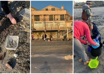 Voluntarios se organizan por Whatsapp para recoger pellets en la ría de Vigo