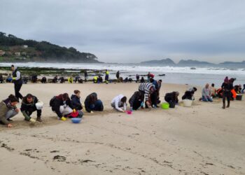 La Fiscalía pide información sobre la llegada de pellets al Parque Nacional Illas Atlánticas