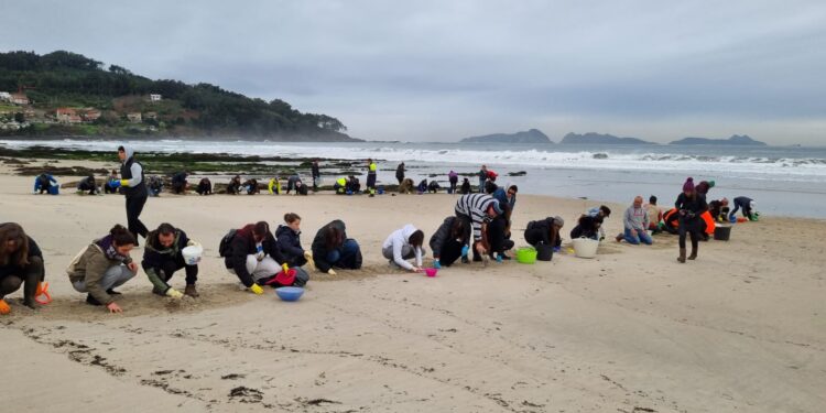 La Fiscalía pide información sobre la llegada de pellets al Parque Nacional Illas Atlánticas