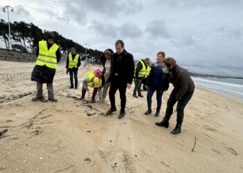 Ana Ortiz: «Lo que sí es una calamidad en Vigo es el tráfico y el transporte»
