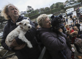 Tarde de perros en honor de San Antón: Vigo bendice a sus peludos