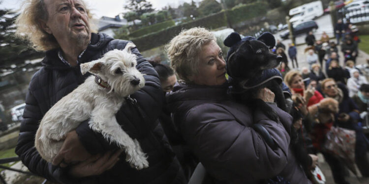 Tarde de perros en honor de San Antón: Vigo bendice a sus peludos