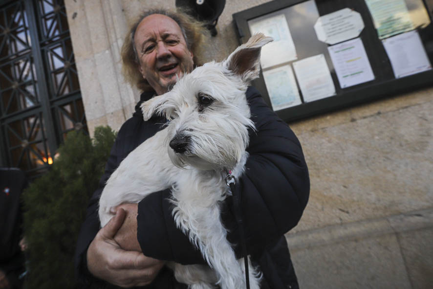 Tarde de perros en honor de San Antón: Vigo bendice a sus peludos
