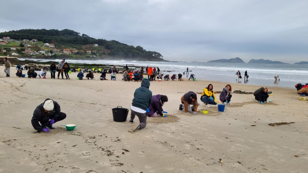 Limpieza de pellets en Patos Nigrán